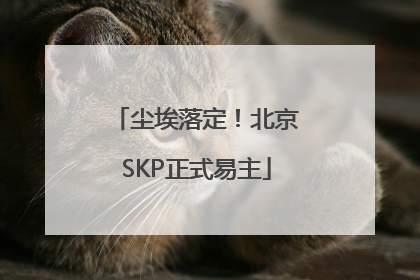 尘埃落定！北京SKP正式易主