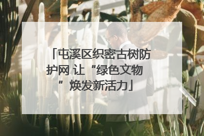屯溪区织密古树防护网 让“绿色文物”焕发新活力