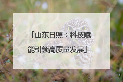 山东日照：科技赋能引领高质量发展
