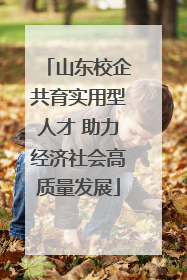 山东校企共育实用型人才 助力经济社会高质量发展