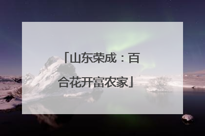 山东荣成：百合花开富农家
