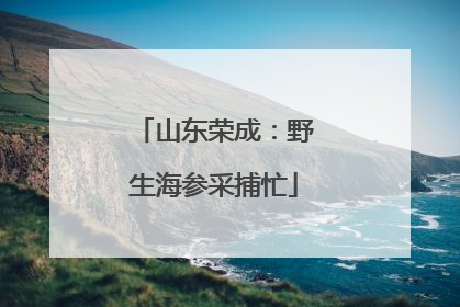 山东荣成：野生海参采捕忙