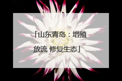 山东青岛：增殖放流 修复生态