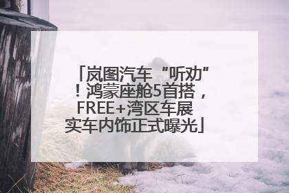 岚图汽车“听劝”！鸿蒙座舱5首搭，FREE+湾区车展实车内饰正式曝光