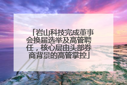 岩山科技完成董事会换届选举及高管聘任，核心层由头部券商背景的高管掌控