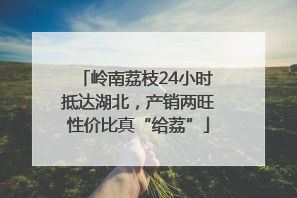 岭南荔枝24小时抵达湖北，产销两旺性价比真“给荔”
