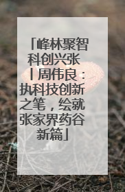 峰林聚智 科创兴张丨周伟良：执科技创新之笔，绘就张家界药谷新篇