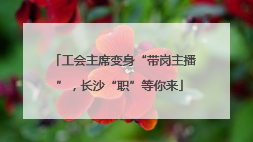 工会主席变身“带岗主播”，长沙“职”等你来