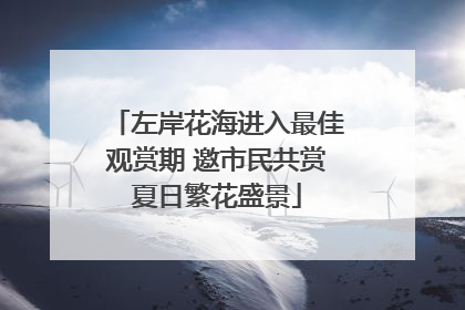左岸花海进入最佳观赏期 邀市民共赏夏日繁花盛景