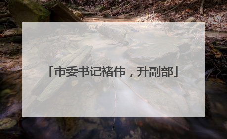 市委书记褚伟，升副部