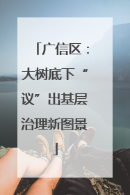 广信区：大树底下“议”出基层治理新图景