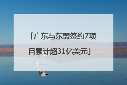 广东与东盟签约7项目累计超31亿美元