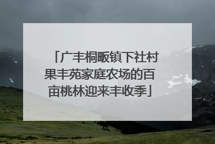 广丰桐畈镇下社村果丰苑家庭农场的百亩桃林迎来丰收季