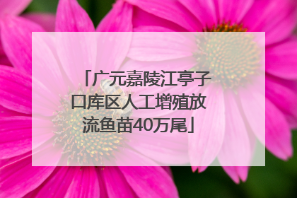 广元嘉陵江亭子口库区人工增殖放流鱼苗40万尾