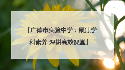 广德市实验中学：聚焦学科素养 深耕高效课堂