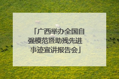 广西举办全国自强模范暨助残先进事迹宣讲报告会