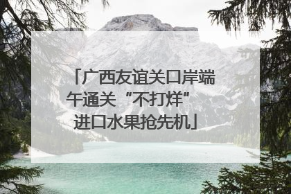 广西友谊关口岸端午通关“不打烊” 进口水果抢先机