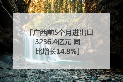 广西前5个月进出口3236.4亿元 同比增长14.8%