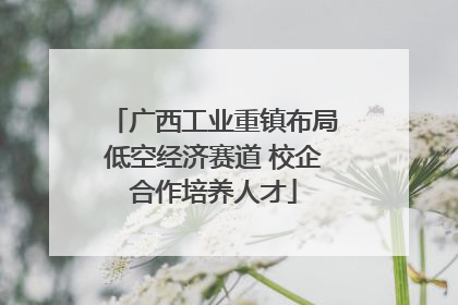广西工业重镇布局低空经济赛道 校企合作培养人才