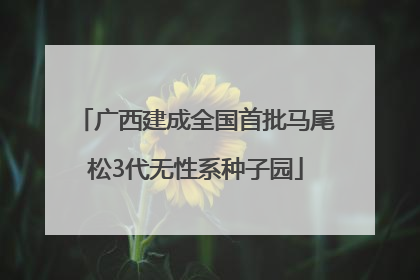 广西建成全国首批马尾松3代无性系种子园