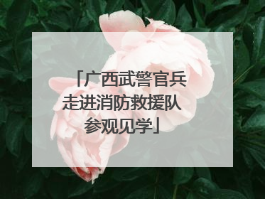 广西武警官兵走进消防救援队参观见学