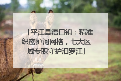 平江县浯口镇：精准织密护河网格，七大区域专职守护汨罗江