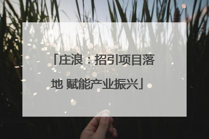 庄浪：招引项目落地 赋能产业振兴