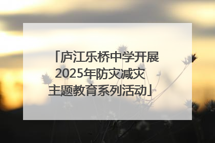 庐江乐桥中学开展2025年防灾减灾主题教育系列活动