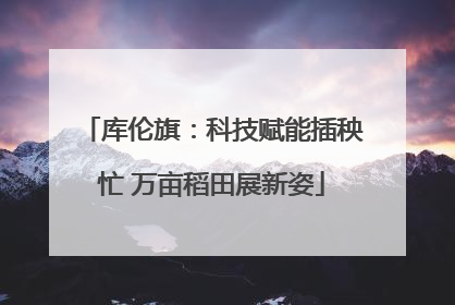 库伦旗：科技赋能插秧忙 万亩稻田展新姿