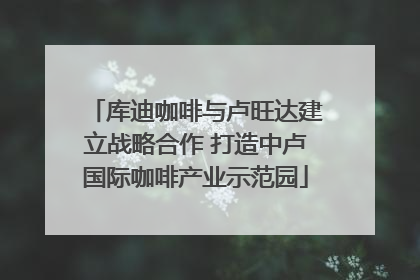 库迪咖啡与卢旺达建立战略合作 打造中卢国际咖啡产业示范园