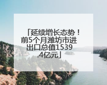延续增长态势！前5个月潍坊市进出口总值1539.4亿元