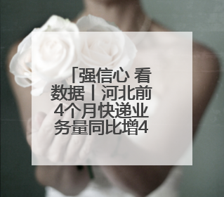 强信心 看数据丨河北前4个月快递业务量同比增40.6%