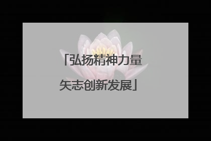 弘扬精神力量 矢志创新发展