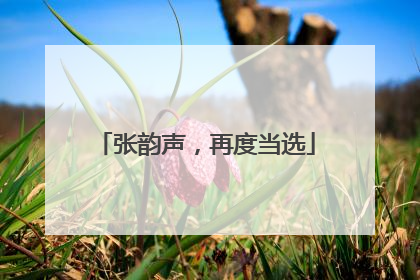 张韵声，再度当选