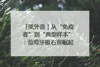 弦外音｜从“免疫者”到“典型样本”：葡萄牙极右翼崛起背后的欧洲困局