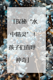探秘“水中精灵”！孩子们直呼神奇