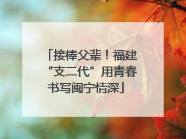 接棒父辈！福建“支二代”用青春书写闽宁情深