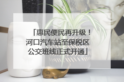 惠民便民再升级！河口汽车站至保税区公交班线正式开通
