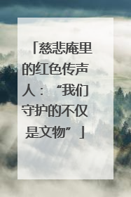 慈悲庵里的红色传声人：“我们守护的不仅是文物”
