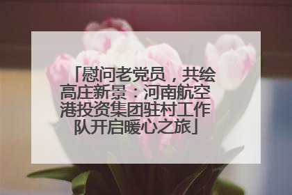 慰问老党员，共绘高庄新景：河南航空港投资集团驻村工作队开启暖心之旅