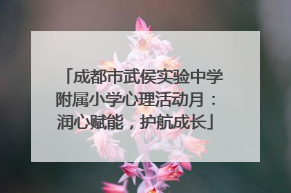 成都市武侯实验中学附属小学心理活动月：润心赋能，护航成长