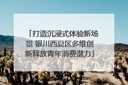 打造沉浸式体验新场景 银川西夏区多维创新释放青年消费潜力