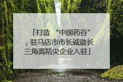 打造 “中国药谷”，驻马店市市长诚邀长三角高精尖企业入驻