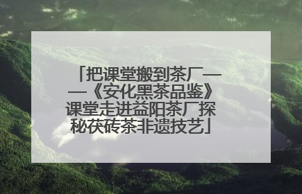 把课堂搬到茶厂——《安化黑茶品鉴》课堂走进益阳茶厂探秘茯砖茶非遗技艺