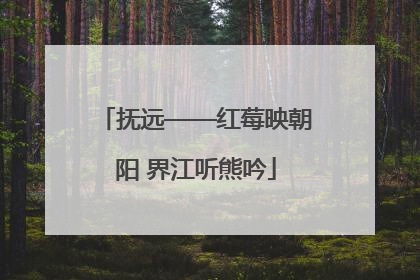 抚远——红莓映朝阳 界江听熊吟