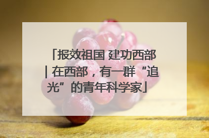 报效祖国 建功西部｜在西部，有一群“追光”的青年科学家