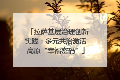 拉萨基层治理创新实践：多元共治激活高原“幸福密码”