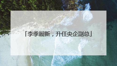 李季履新，升任央企副总