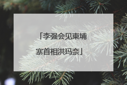 李强会见柬埔寨首相洪玛奈