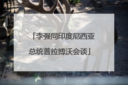 李强同印度尼西亚总统普拉博沃会谈